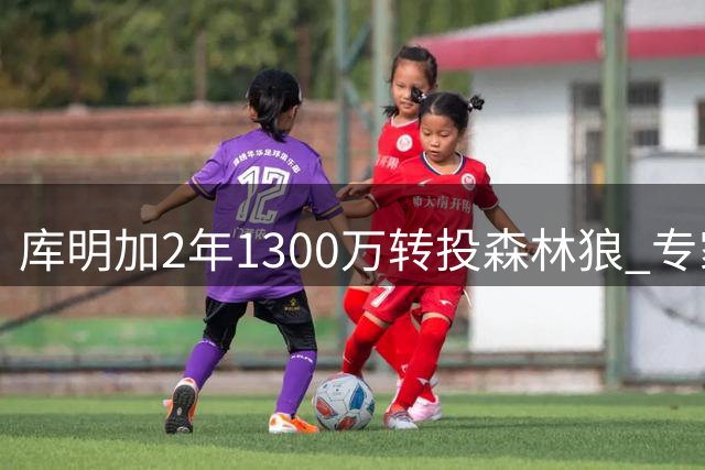 库明加2年1300万转投森林狼 专家评论加盟决定引热议
